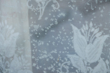 small snowflakes on the window