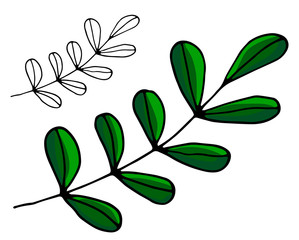 Plant hand drawn leaf color illustrations set. branch isolated sketch clipart on a white background.