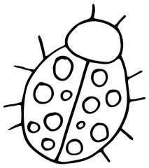Hand Drawn Ladybug Sketch Symbol. Vector ladybug element in trendy style.
