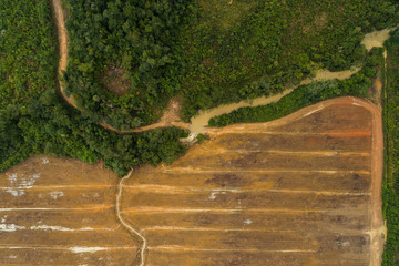 Farm land next to Jungle aerial survey
