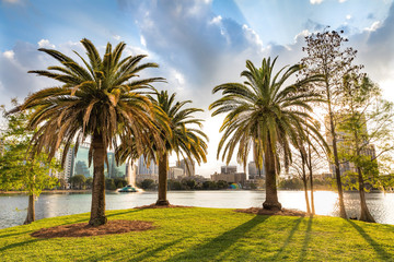 Obraz na płótnie Canvas Palm trees on a grass island with water