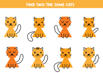 Fototapeta premium Find two the same cute cats. Educational worksheet for kids.