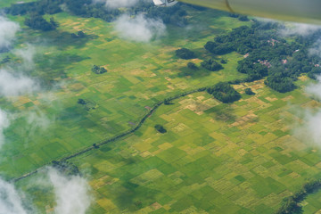 Aerial view of rice field near Chittagong city, Bangladesh