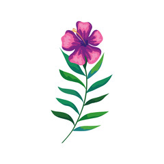 flower natural with branch and leafs vector illustration design
