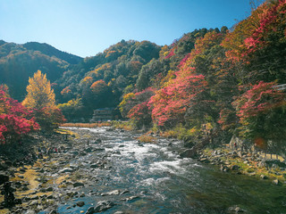 Beautiful and colorful scenic view of river at Korankei in autumn , Aichi , Japan