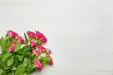 Beautiful rose flowers on white wooden background