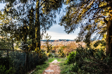Fototapeta premium Far away