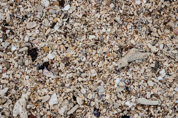 Closeup of white coral beach.
