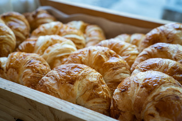 A tray with fresh croissant bread puff pastry.