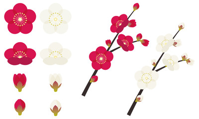 梅　うめ　枝　花