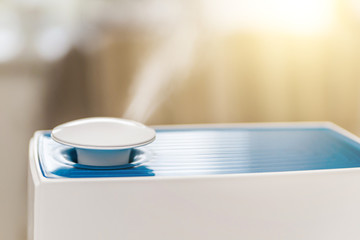 steam for humidification in front of the window. humidifier in the room