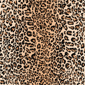 Seamless hand drawn leopard texture