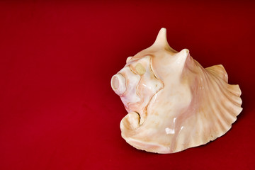 Prehispanic instrument of Mexico, Caracol Azteca