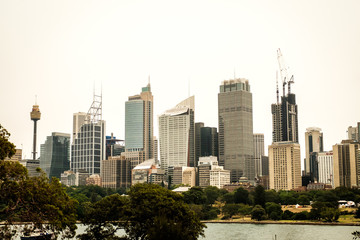 Fototapeta premium Panoramic view of cityscape at Sydney, Australia