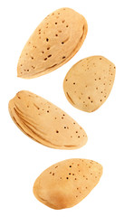 Almonds nuts no split, four pieces soaring, falling, flying isolated on white background with clipping path. Set of parts. 