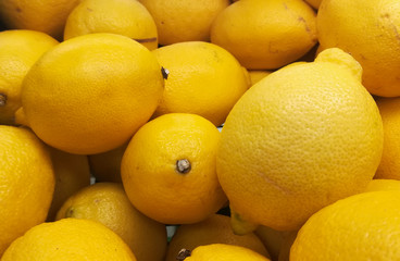 Many lemon fruits