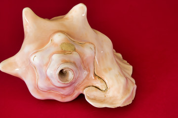 Prehispanic instrument of Mexico, Caracol Azteca