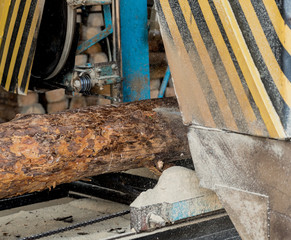 Modern sawmill. Industry sawing boards from logs