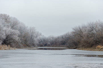 Frosty trees on a winter day by the river