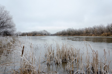 Frosty trees on a winter day by the river