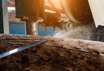 Modern sawmill. Industry sawing boards from logs - obrazy, fototapety, plakaty