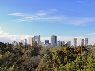 Fototapeta premium A cityscape surrounded by a forest with a blue sky 