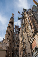 The believer's dream