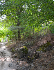 Mountain landscapes of Crimea. On the way to the ancient Chufut-Kale