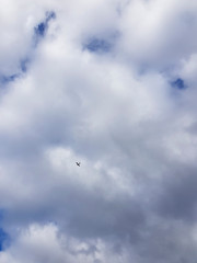 Naklejka na ściany i meble Tiny plane on a background of white coluds sky