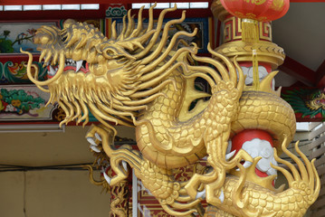 Fototapeta premium dragon statue in chinese temple 