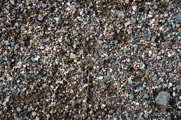 The texture of a shallow river stone. Pebble Background Image
