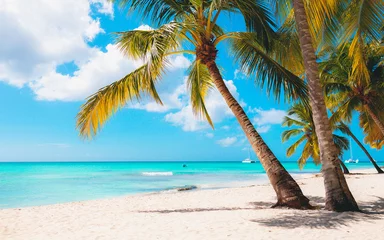 Fototapeten Vacation summer holidays background wallpaper - sunny tropical exotic Caribbean paradise beach with white sand in Seychelles island Thailand style with palms and rocks © Vasily Makarov