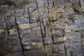 Texture of wet stone covered with moss. Background image of macro photography texture stone