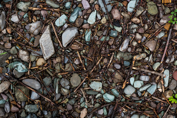 The texture of a shallow river stone. Pebble Background Image