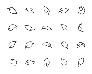 set of leaf icon, natural, spring, eco