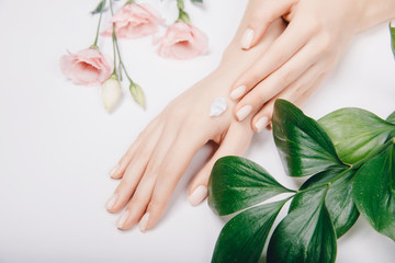 Top view cosmetic cream on female hands with pink flowers on white background, flat lay. Concept spa skin care