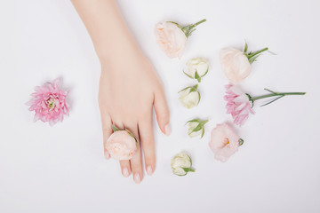 Close-up beautiful sophisticated female hands with pink flowers on white background. Concept hand care, anti-wrinkles, anti-aging cream, spa