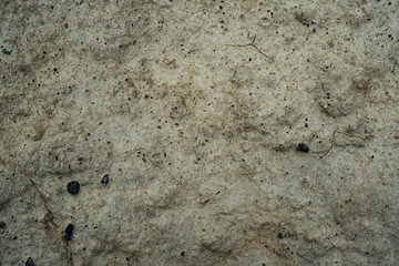 Texture of dried cracked clay. Macro background image of dried clay