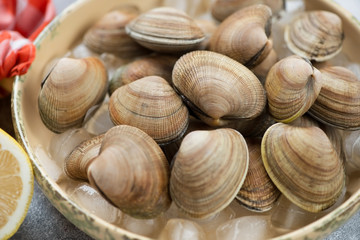 Close-up of raw fresh vongole clams on ice cubes, selective focus, studio shot