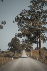 Looking down a country gravel road in farmland Comboyne, New South Wales. NB: Location approximate.