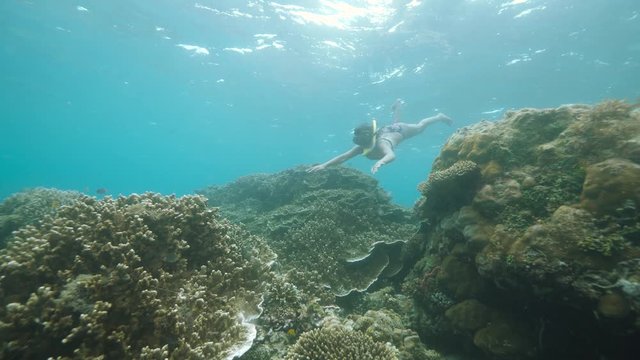 A woman in bikini snorkeling and swimming under the ocean near the coral reef.