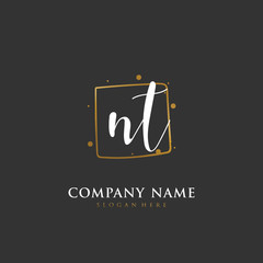 Handwritten initial letter N T NT for identity and logo. Vector logo template with handwriting and signature style.