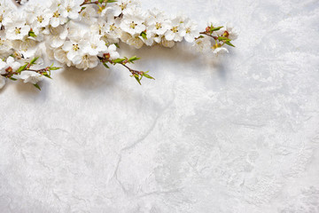 Flowering cherry branches on a marble surface