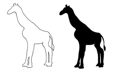Giraffe silhouette view. Vector hand-drawn illustration isolated on white background.