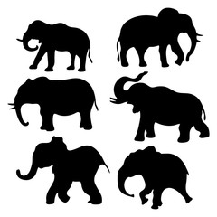 Set of vector silhouettes of an elephant. Vector hand-drawn illustration isolated on white background.