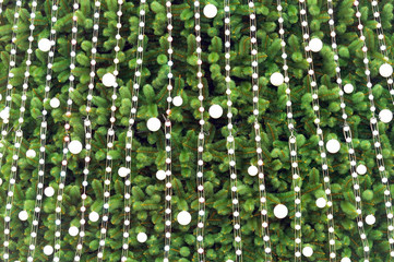 light bulbs on a green Christmas tree