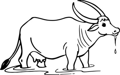 Cow animal color book lined art white background 
