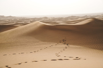 Landscape of sand dunes desert and footprints