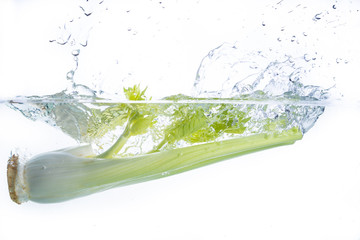 Fototapeta na wymiar Fresh celery drops in water with a spray