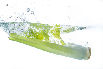 Celery Water Splash on white background